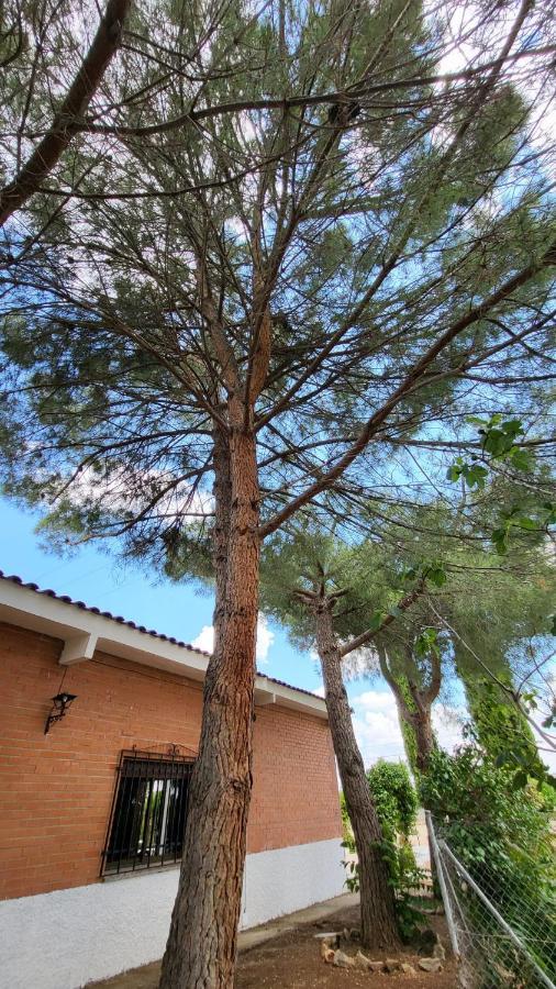 Hostal San Martin De Montalban * San Martín de Montalbán